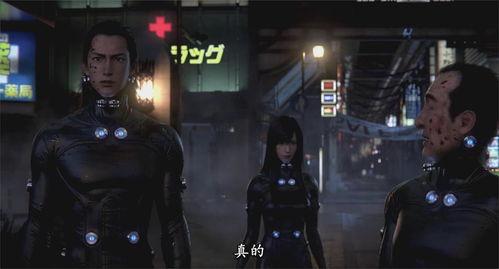 杀戮都市o在线观看,生死边缘的残酷对决